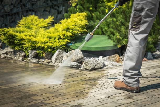 Best Roof Cleaning and Mildew Removal in Buhl, ID